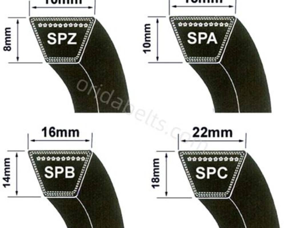 Correa SPB