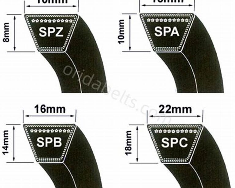 Correa SPC