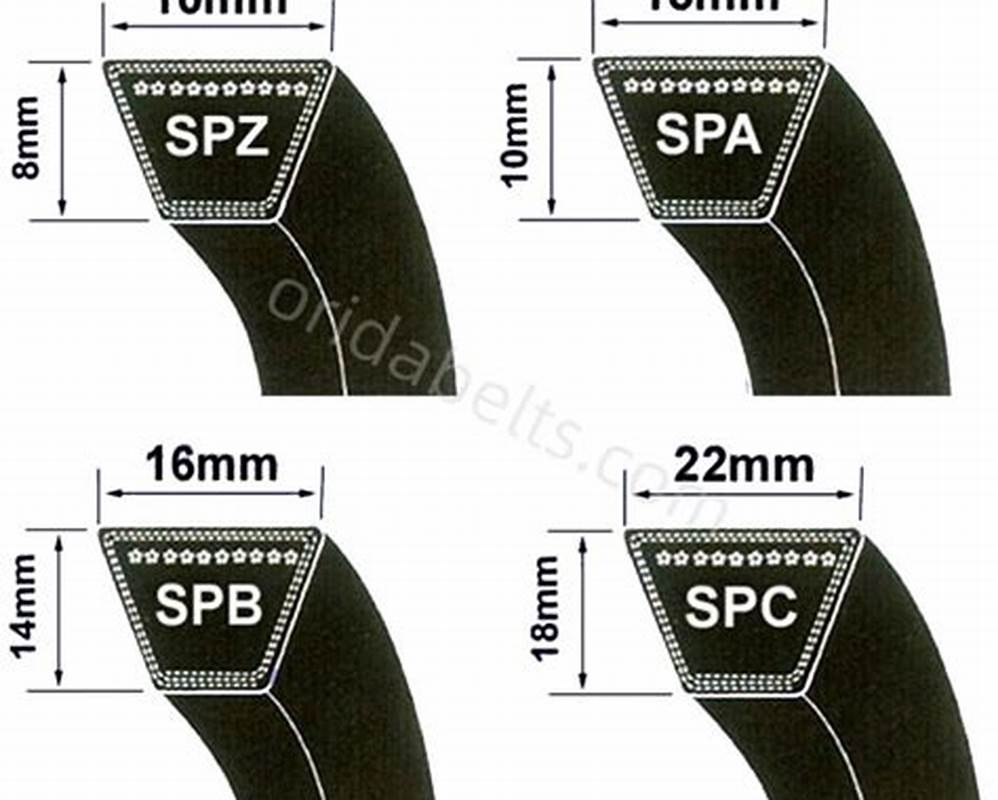 Correa SPC