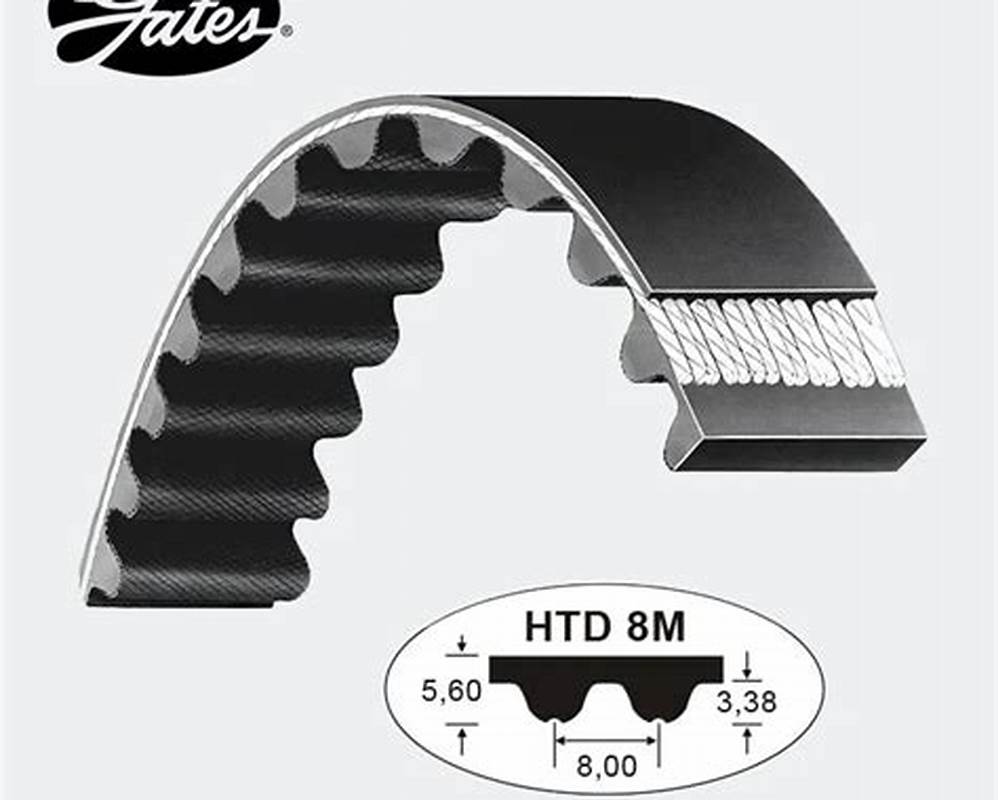 Correa dentada HTD 8M